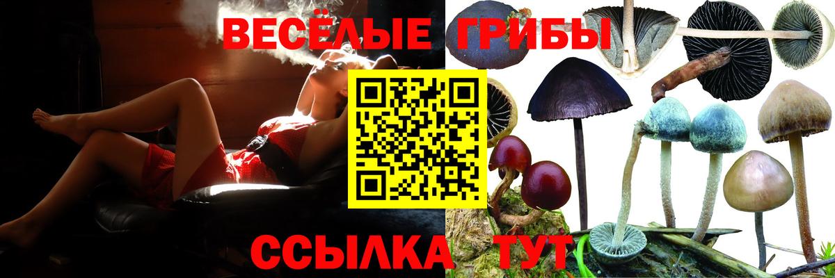 Галлюциногенные грибы мицелий Михайловка