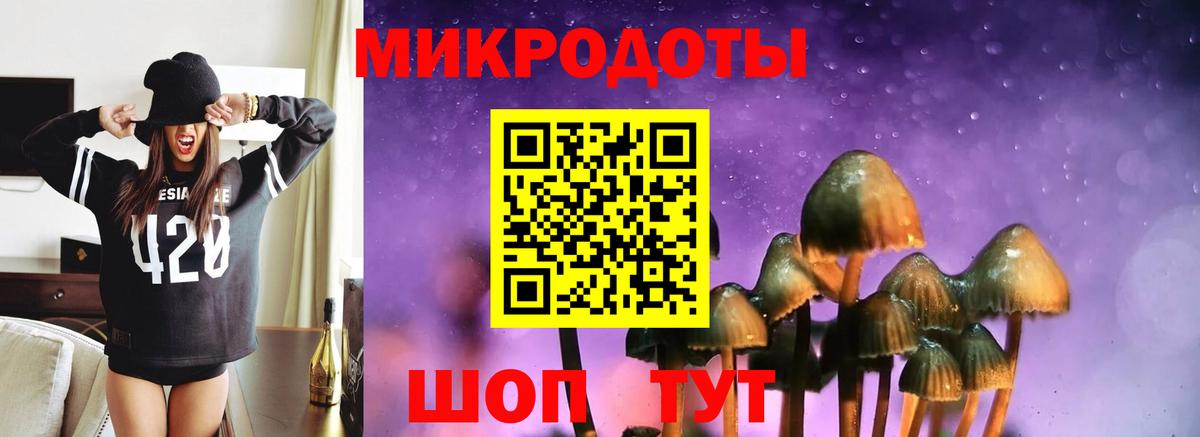 Михайловка  Псилоцибиновые грибы MAGIC MUSHROOMS  Псилоцибиновые грибы Psilocybine cubensis  Вход с VPN 